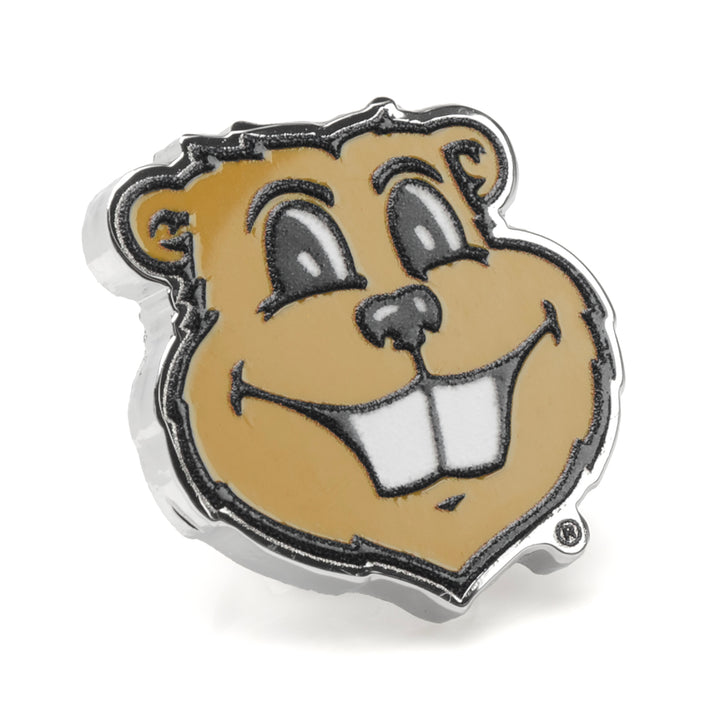 PD-MGM-LP